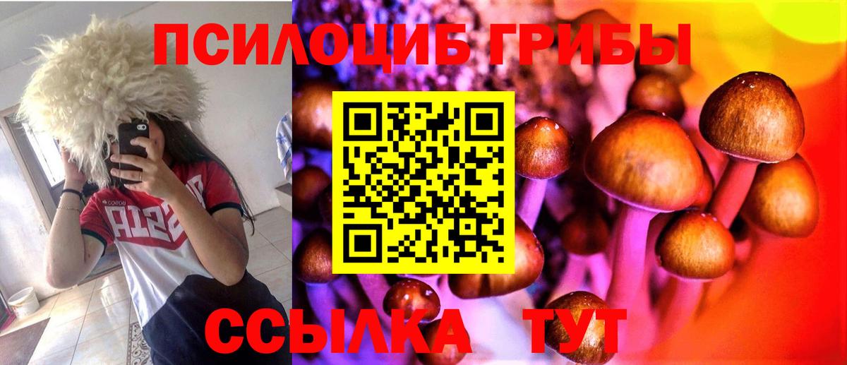 Псилоцибиновые грибы мицелий Ялуторовск