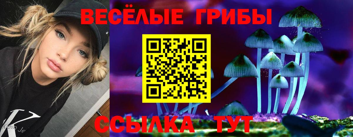 Псилоцибиновые грибы Psilocybe  Вход с VPN  Псилоцибиновые грибы ЛСД  Ялуторовск 
